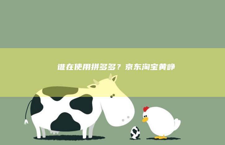谁在使用拼多多？|京东|淘宝|黄峥