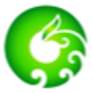 ico