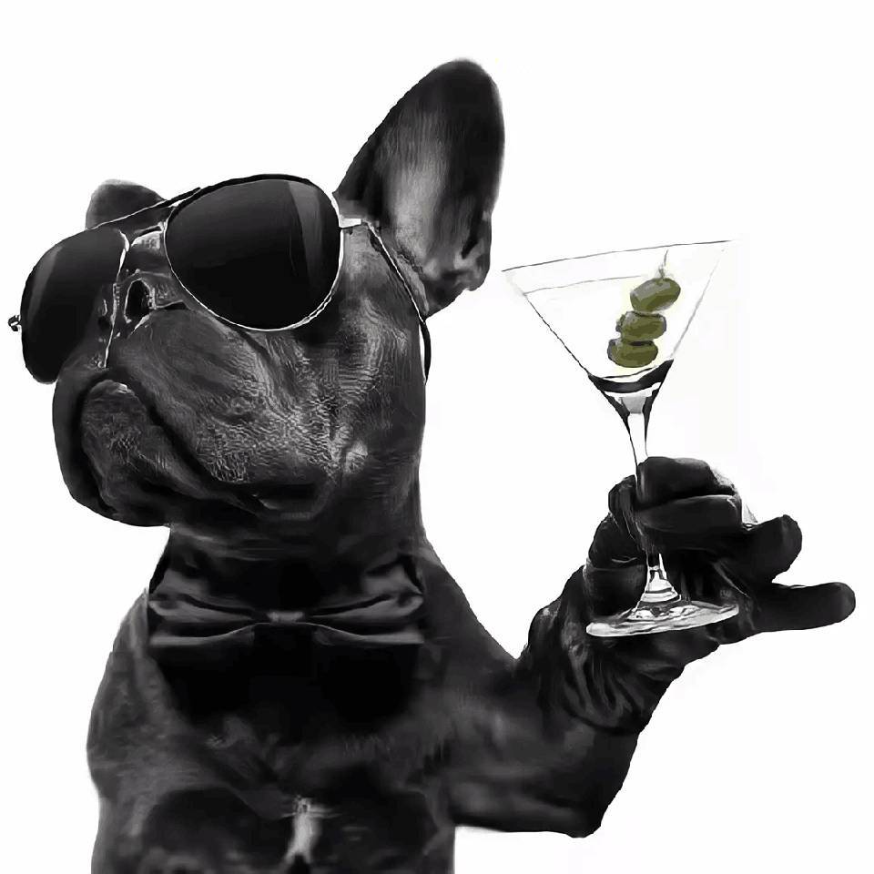 网络技术分享抖音监控新作品软件