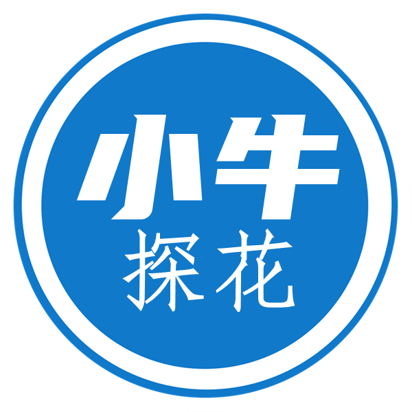 ico
