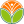 四季桂花