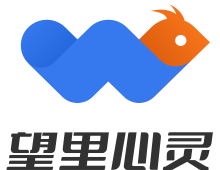 望里科技