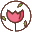 望槐花卉