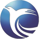 ico
