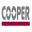 COOPER轴承-COOPER轴承，COOPER剖分轴承，COOPER分离轴承