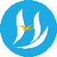 ico