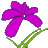 宁夏丰植源现代农业科技开发有限公司