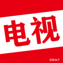 重庆视像电子有限公司