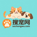 搜宠网