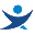 ico