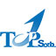 集装箱干燥剂_蒙脱石干燥剂_高吸湿氯化钙干燥剂网站_TopSorb Technology Co.,Ltd