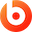 ico