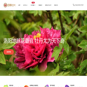 铝塑包装机,旋转式压片机,高效包衣机,中药制丸机,中药制药设备