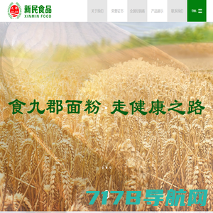 五原县新民食品有限责任公司