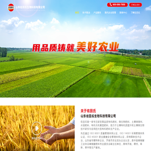 飞桨AI