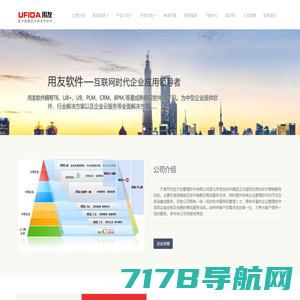 天津开发区天友管理软件有限公司