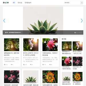 庞械科技