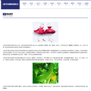 上海宁圣丰网络科技有限公司