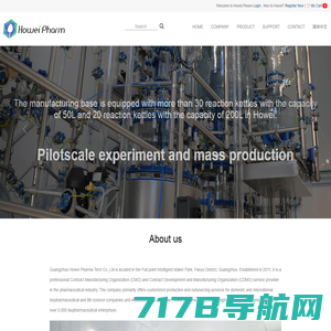 CMO,CDMO,Custom Synthesis-Howei Pharm-广州和为医药科技有限公司