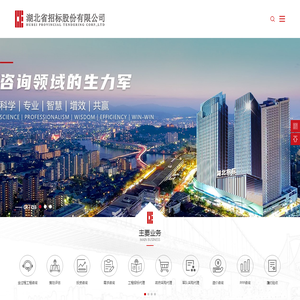 湖北省招标股份有限公司
