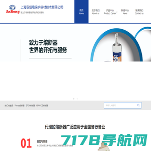 上海安熔电保护器材技术有限公司