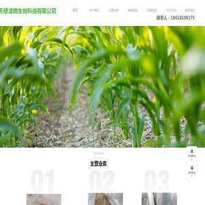 江阴市三卓输送设备有限公司