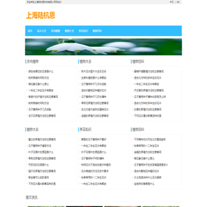 上海陆杭恩科技有限公司