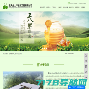 蜂蜜批发_重庆石柱土蜂蜜-重庆金大洋生物工程有限公司
