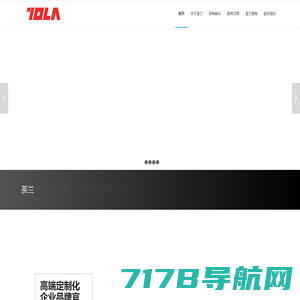 山东荼兰（TOLA）信息技术有限公司
