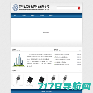 深圳龙芯微电子科技有限公司