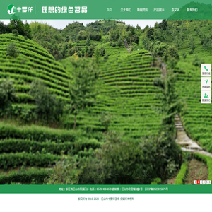 江山市十罗洋茶场