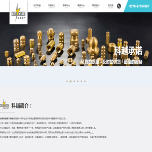 台州科越电气有限公司,台州科越,科越电气