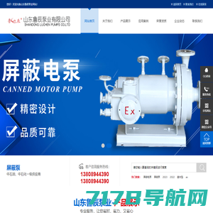 屏蔽泵-化工屏蔽泵-屏蔽电泵-山东鲁辰泵业有限公司