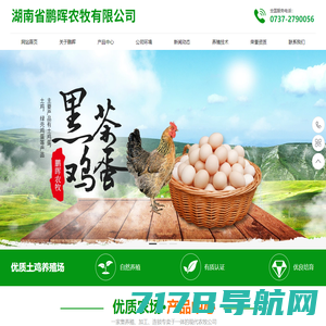 湖南省鹏晖农牧有限公司_湖南土鸡蛋销售|绿壳鸡蛋供应