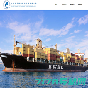 深圳市蓝鲸国际供应链有限公司