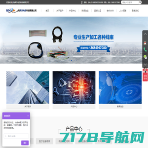 首页-上海奔升电子科技有限公司