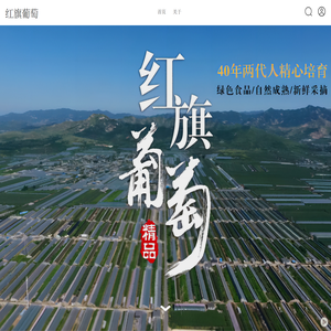 红旗葡萄
