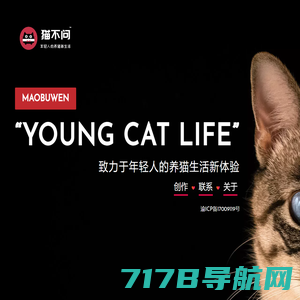 猫不问 - YOUNG CAT LIFE