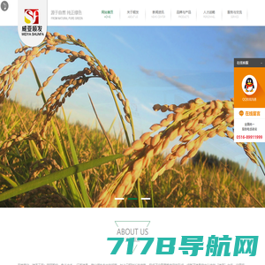 有机大米|大米供应商-江苏顺发米业有限公司