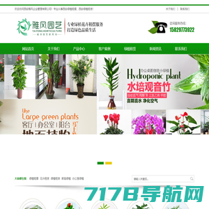 贵州绿筑景观绿化有限公司_绿筑花卉——您身边的花卉管家！