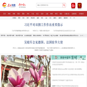 青海羚网