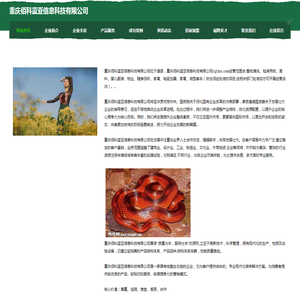 重庆佰科蓝亚信息科技有限公司