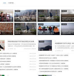 聊复尔耳网