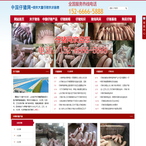 仔猪|仔猪价格--中国仔猪养殖网