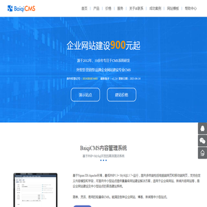 企业网站建设小程序开发解决方案
