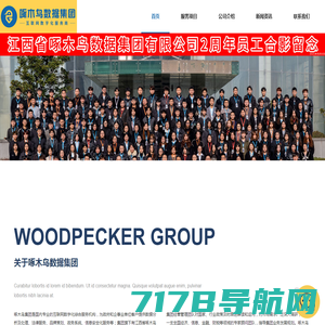 啄木鸟数据集团――江西省啄木鸟数据集团有限公司