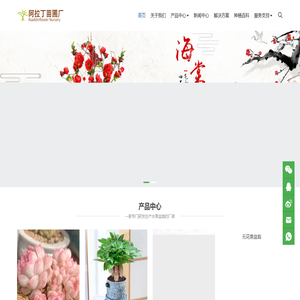 仙桃市阿拉丁苗圃厂