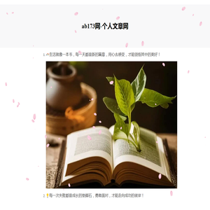 173软件站