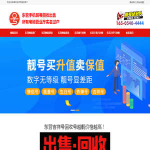 复眼阵列相机