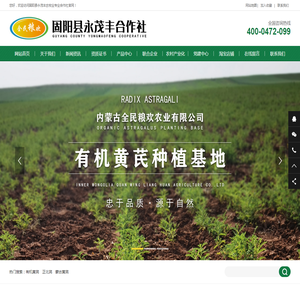 固阳永茂丰合作社全民粮欢有机黄芪正北芪